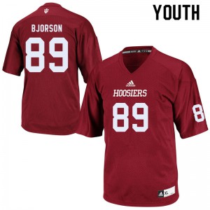 Youth Indiana Hoosiers #89 Matt Bjorson Crimson Embroidery Jerseys 775288-149